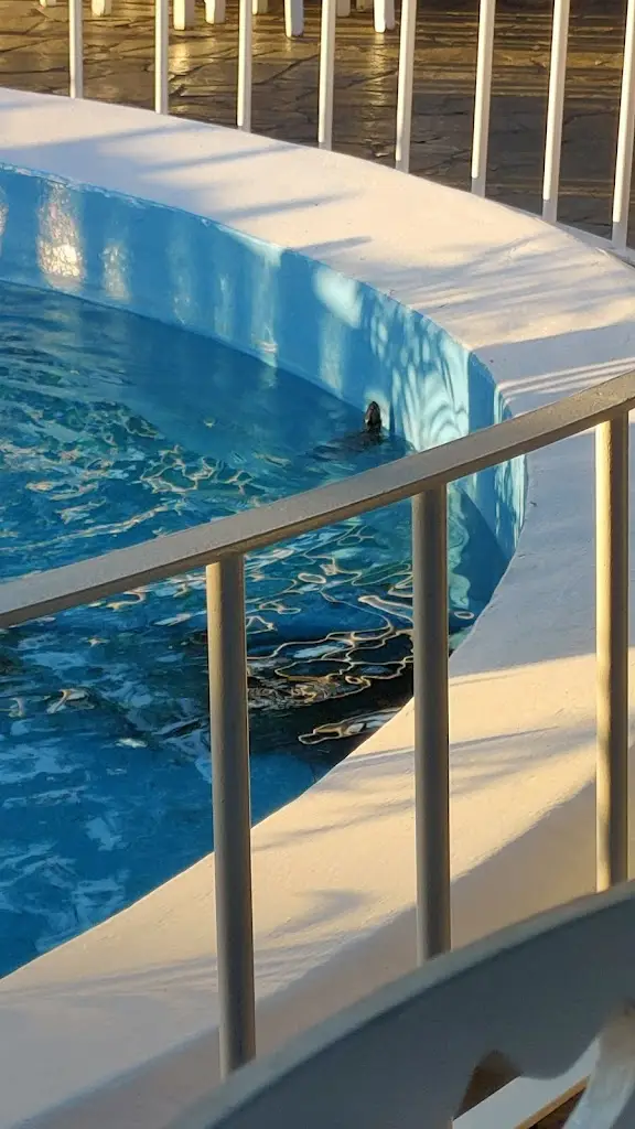 Tatyana Nedeva_Μικρασιάτικο Μεζεδοπωλείο - Mikrasiatiko Mezedopoleio_Néa Filadélfeia_review