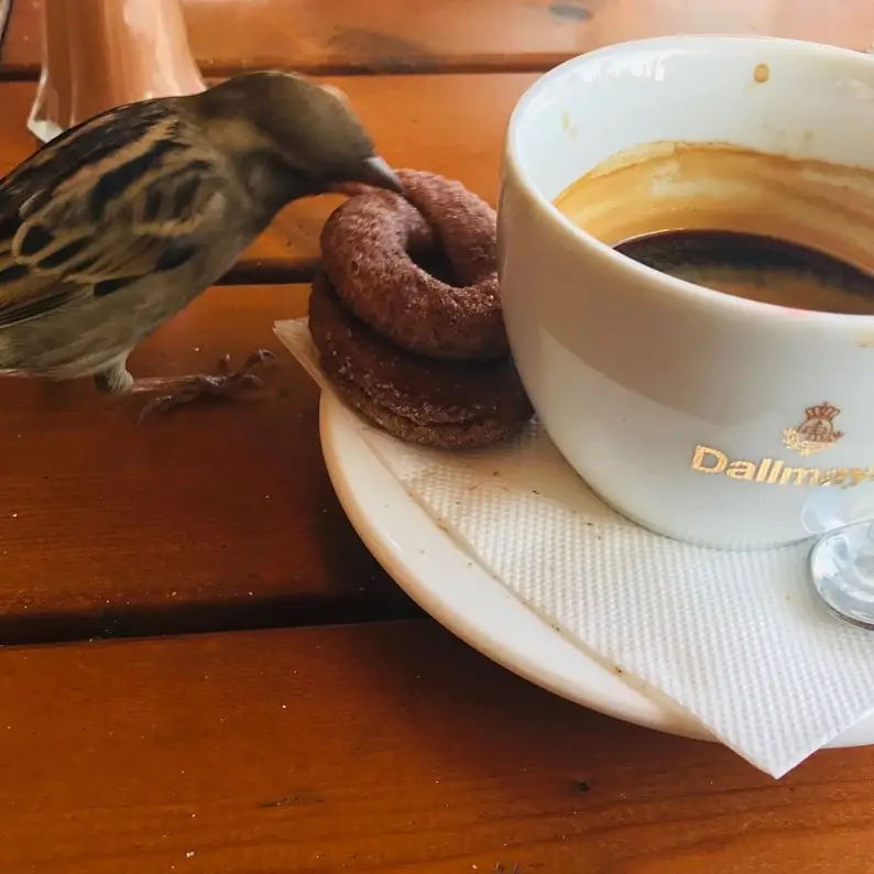 Menü_Magko Beach Bar/Restaurant_Néa Mákri_Bild_7