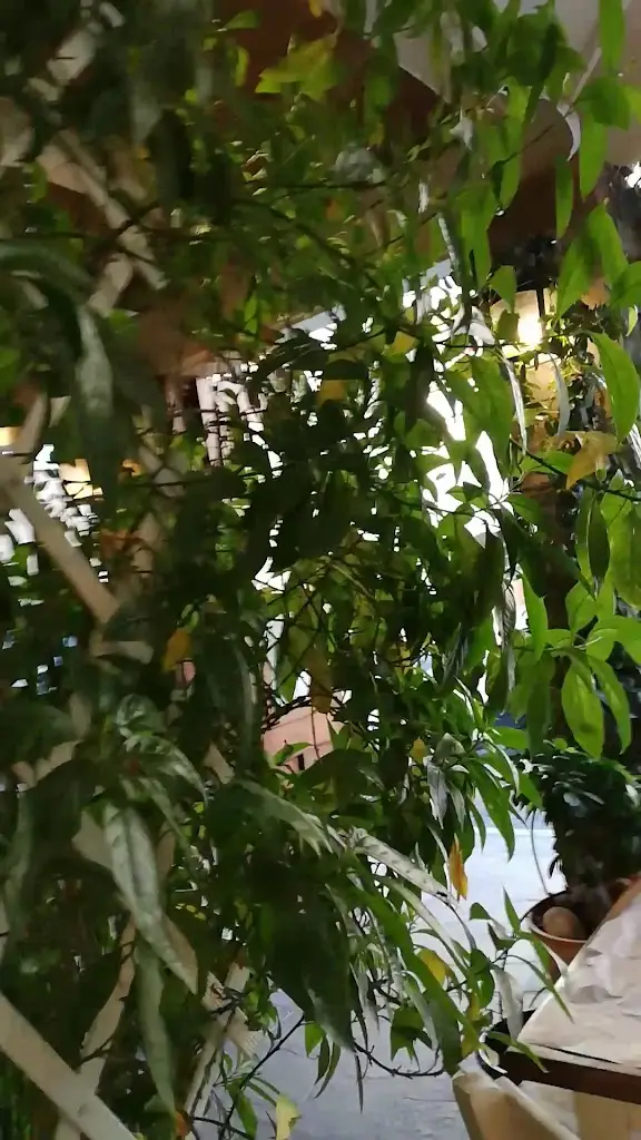 Kostantaki's Restaurant_Néa Péramos_slider_image_2