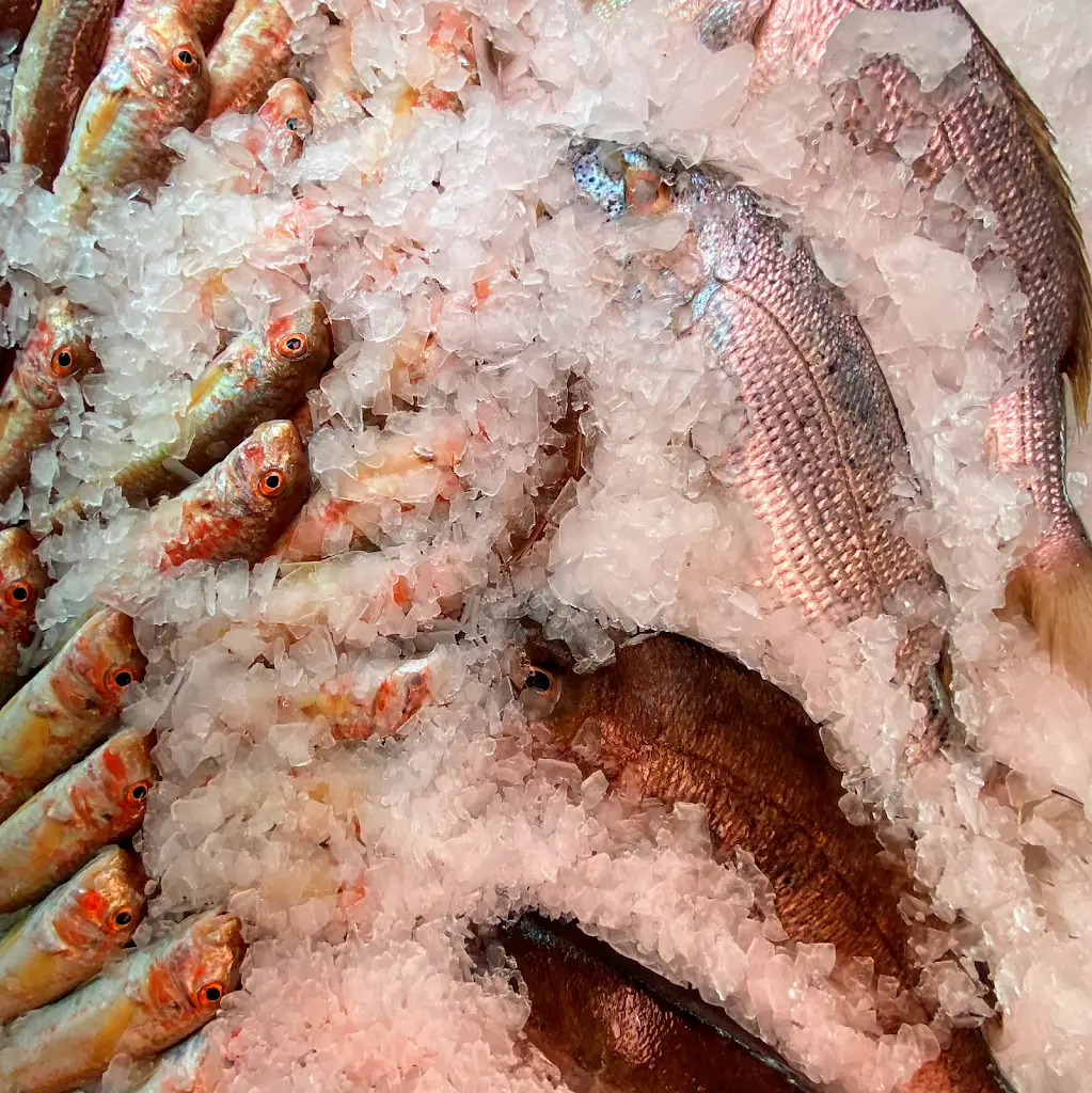 restaurant East_Néa Péramos_slider_image_3