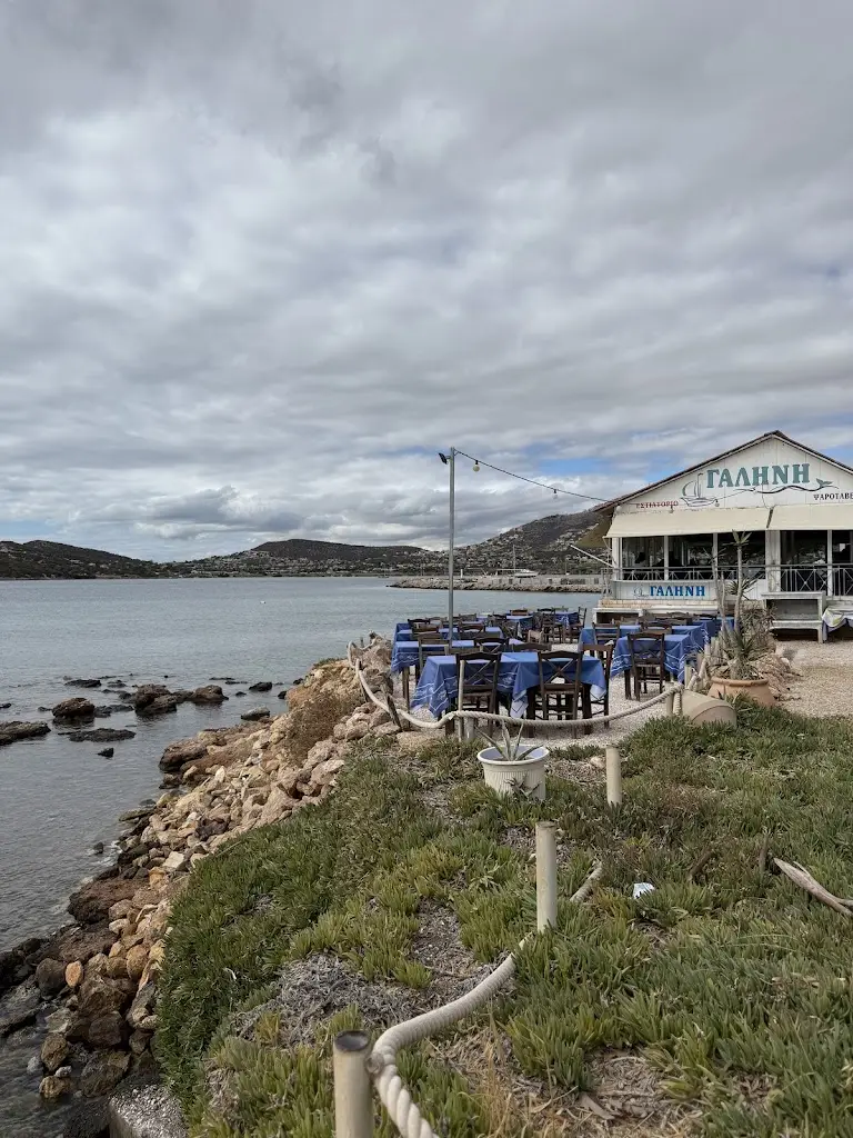 Nicole KC_Galene fish restaurant_Palaiá Fókaia_Bewertung