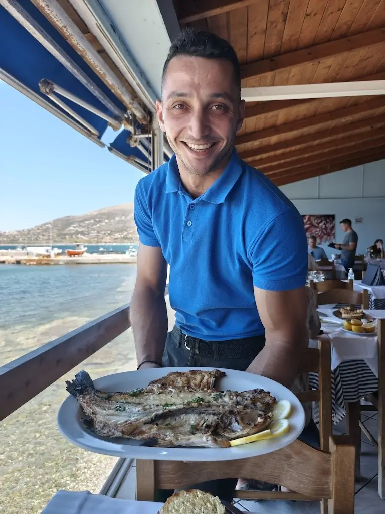 JM VdH_The 4 Brothers Tavern_Palaiá Fókaia_Bewertung