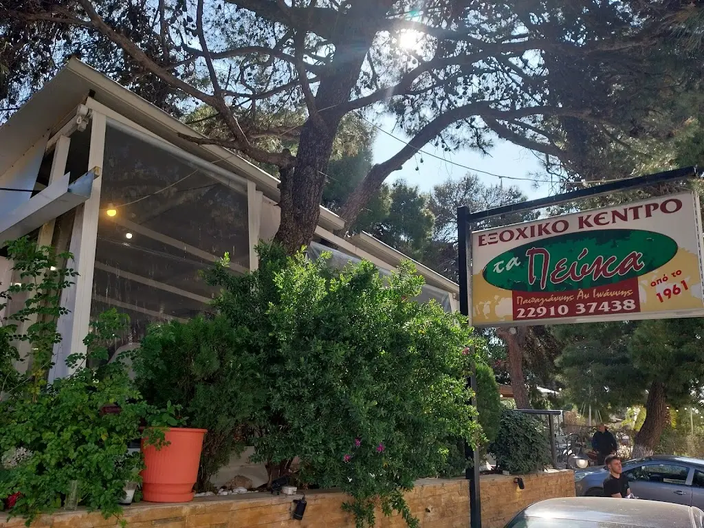 Ταβέρνα, Εξοχικό Κέντρο, Τα Πεύκα ΠΑΠΑΓΙΑΝΝΗΣ ΙΩΑΝΝΗΣ_Palaiá Fókaia_slider_image_3