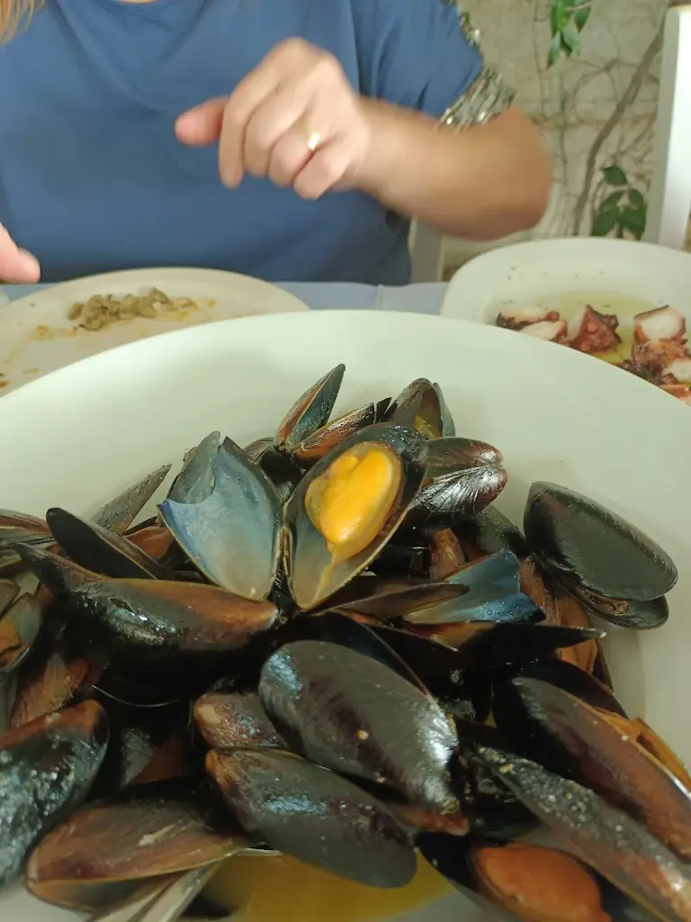 Menu_Restaurant Tavern Alexis_Palaiá Fókaia_image_7