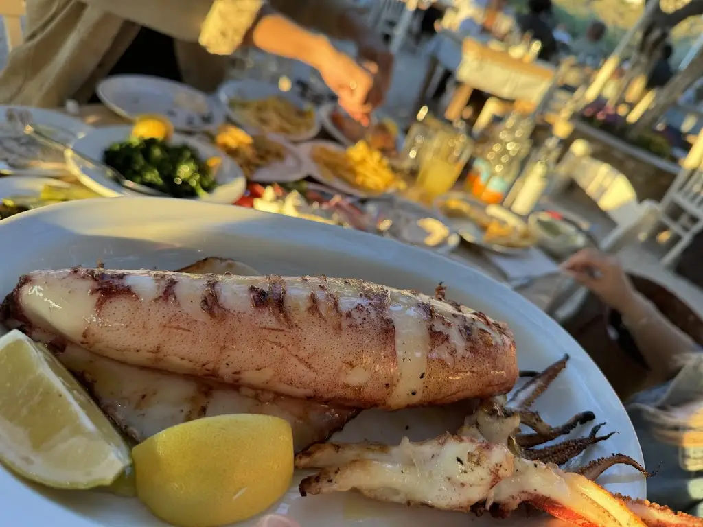 Menü_To Apomero_Palaiá Fókaia_Bild_8