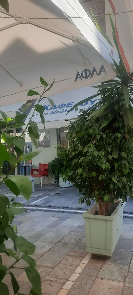 Μεζεδοπωλείο-Εστιατόριο Το Μπλόκο_Níkaia_slider_image_2