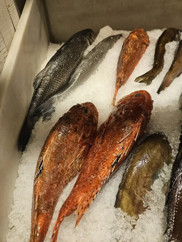 Amnon Freund_Psarades_Palaió Fáliro_review