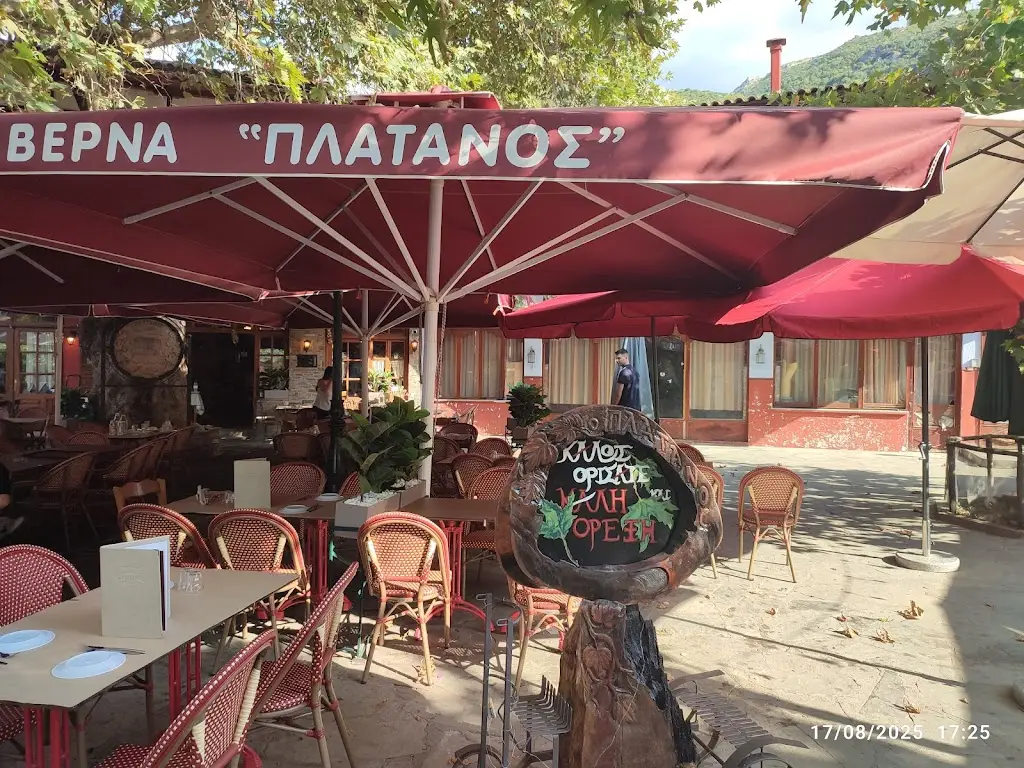 G Kom_Taverna Platanos_Ampelákia_Bewertung