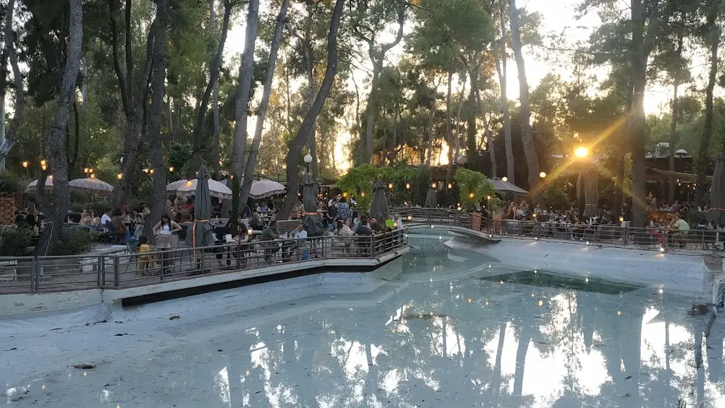 Jeka Mtl_Piu Verde_Papágou_reseña