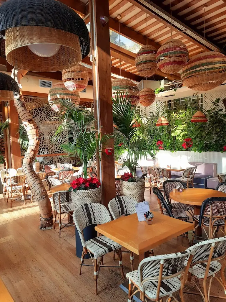 Marc Remus_Piu Verde_Papágou_reseña