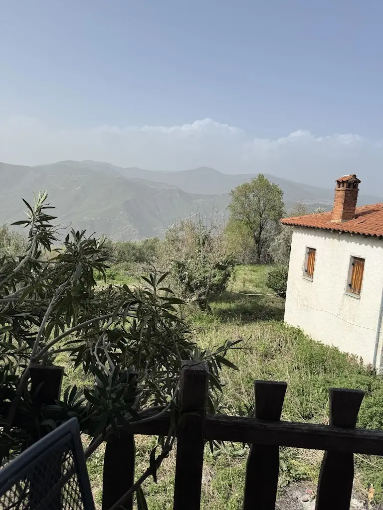 Apostolos Eleftheriadis_Archontiko - Tavern in Ampelakia, Larissa_Ampelákia_recensione