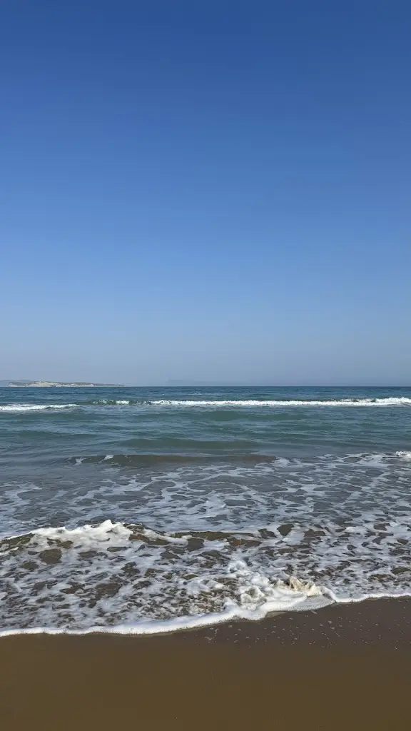 frog_Havana Restaurant_Ágios Stéfanos_Bewertung