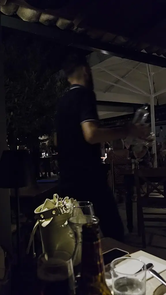 Isidora Stanojev_Zorbas Restaurant_Ágios Stéfanos_Bewertung