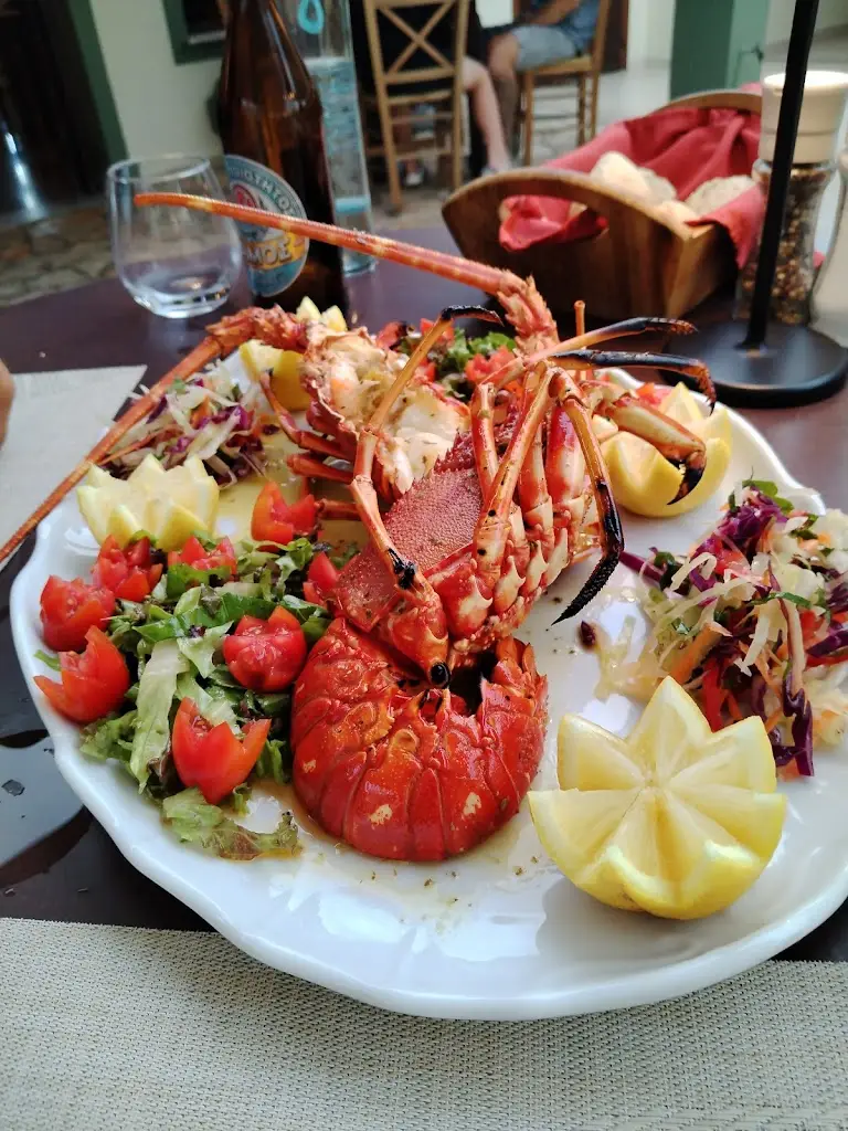 Lisa Jayne Ball_Zorbas Restaurant_Ágios Stéfanos_Bewertung