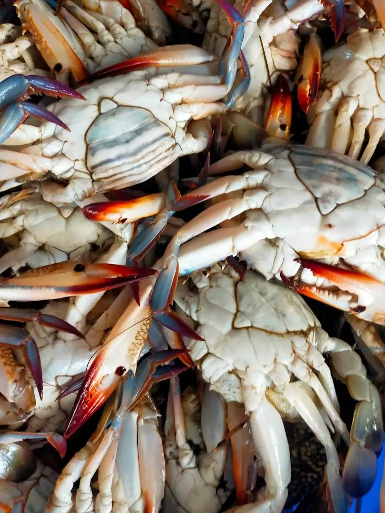 Menü_Armi Seaside Fish Restaurant_Piraeus_Bild_7