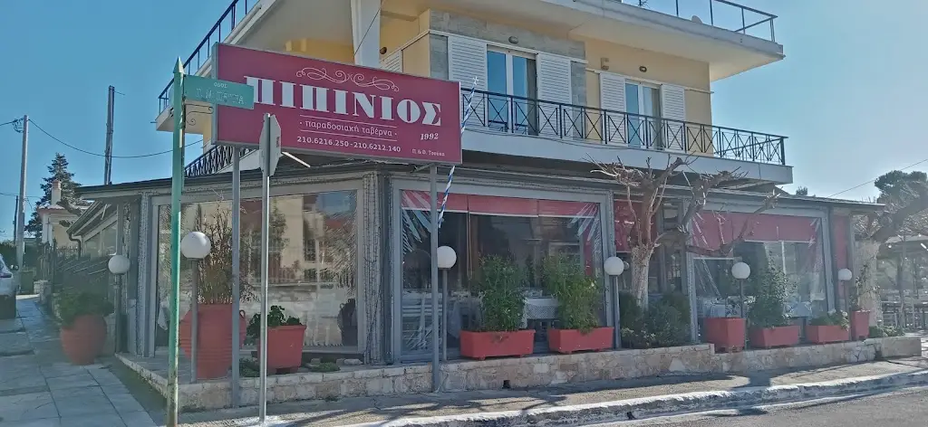 Pipinios Restaurant in Stamáta