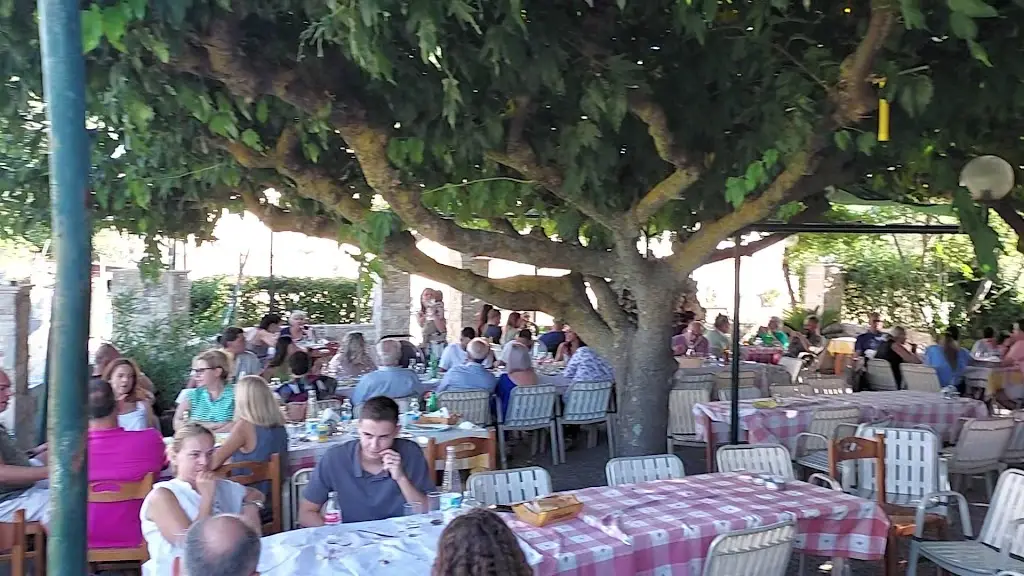 Amygdaleza_Stamáta_slider_image_2