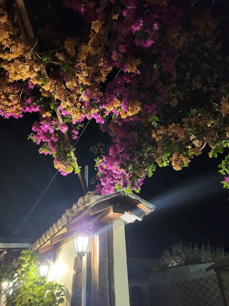 Katalin Petik-Varga _Brusko_Ágios Stéfanos_review