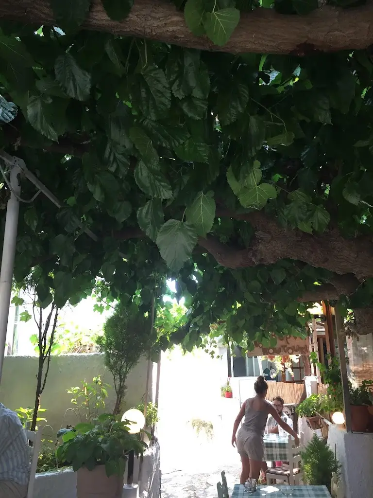 Konstantinos Vougas_Το Κουτούκι της Σταμάτας_Stamáta_Bewertung