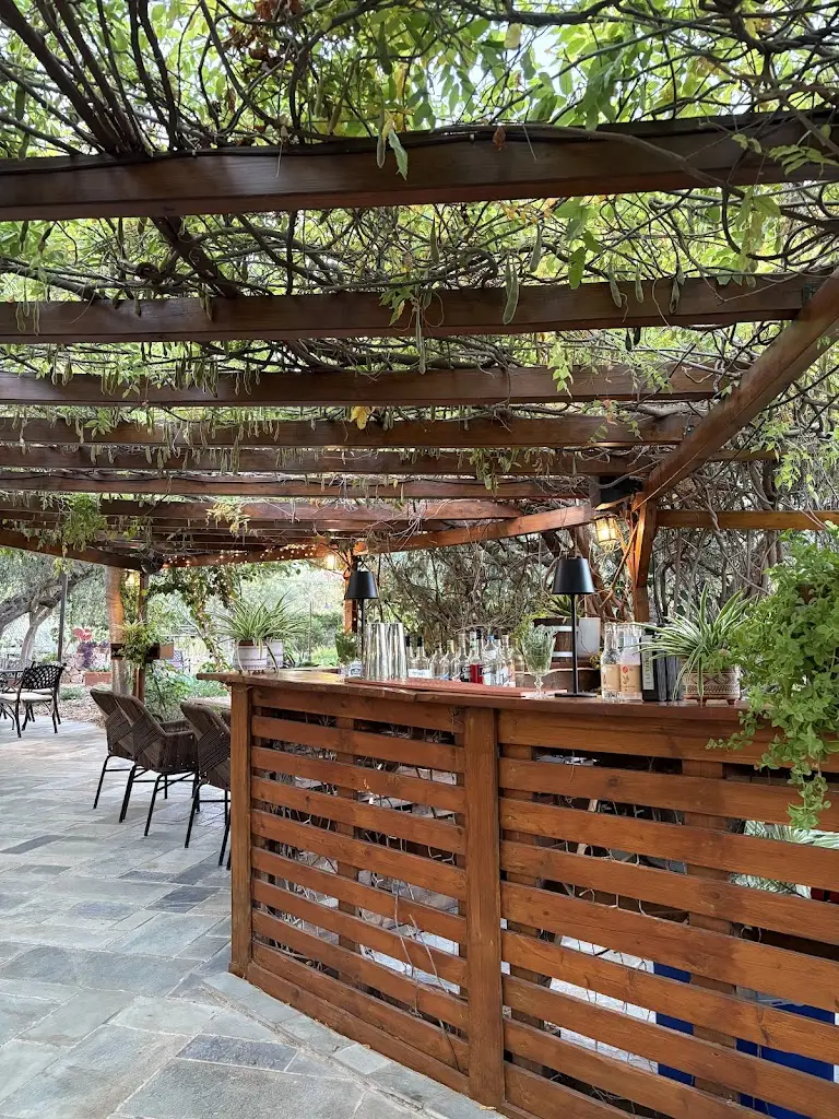 Lou Demos_To Perivoli sti Vari Farm-to-fork Restaurant_Vári_Bewertung