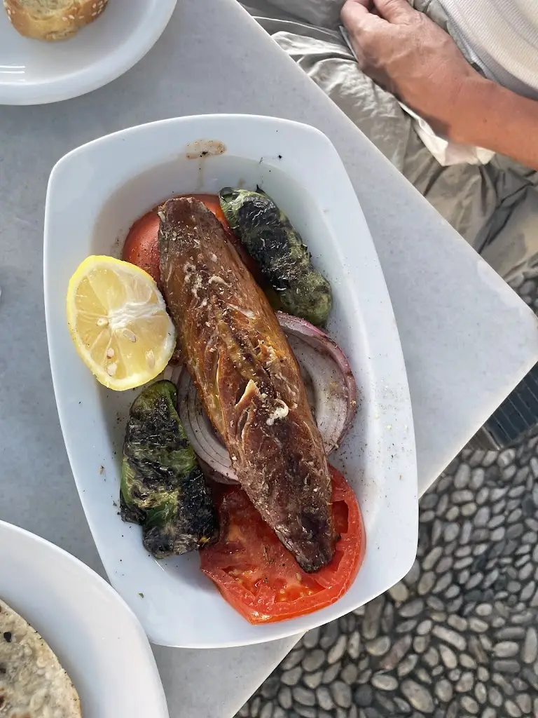 Fran Herro_Kafenion_Spétses_avis