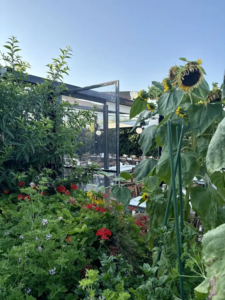 Monica Viggars_To Pachni_Spétses_review