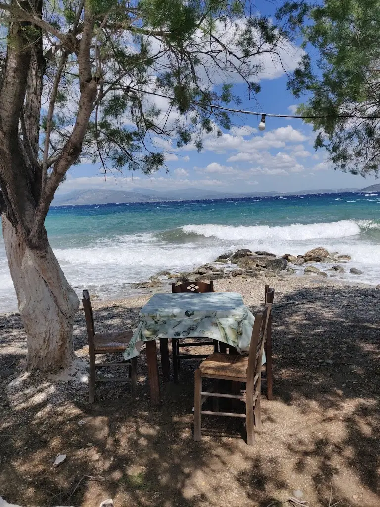 Zina Abu-Haydar_Ψαροταβερνα Το Ξυλινο, Ψησταρια Μπαρμπα Θανασης_Varnávas_Bewertung