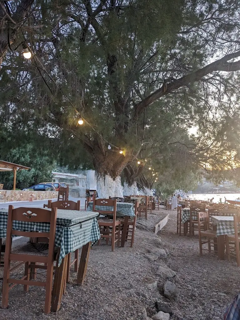 Ψαροταβερνα Το Ξυλινο, Ψησταρια Μπαρμπα Θανασης_Varnávas_slider_image_1