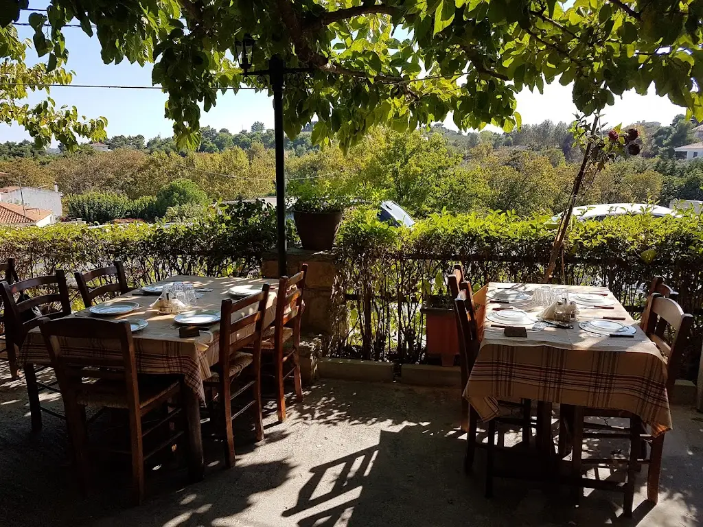 Barba Vasilis Restaurant in Varnávas