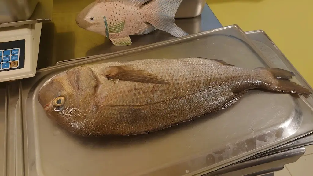 Menu_To Psaraki_Vlycháda_imagen_7