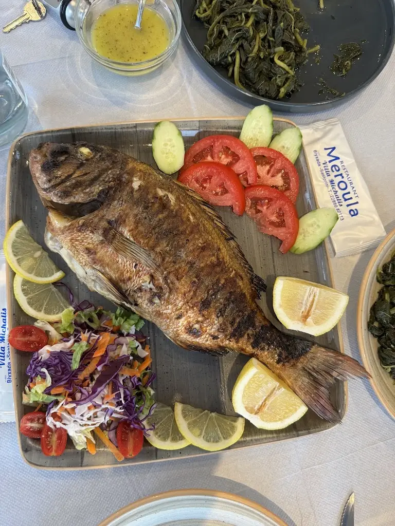 Nektarios Logaras_Meroula_Vlycháda_Bewertung