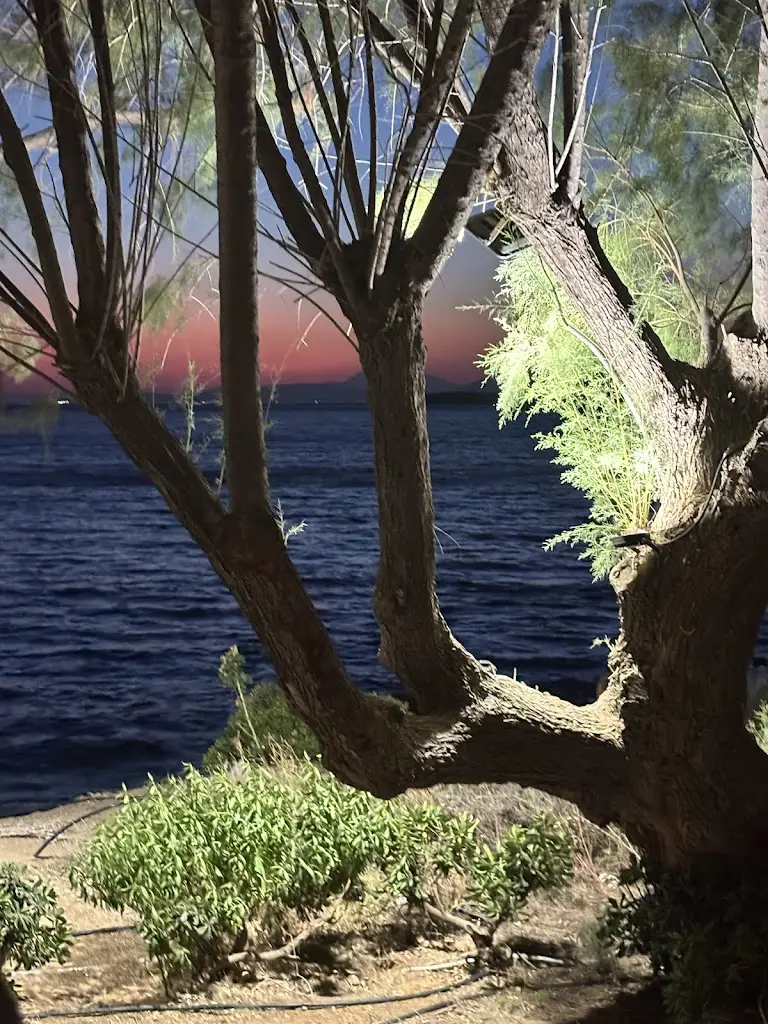 DH_Agora Riviera Restaurant_Vouliagméni_Bewertung