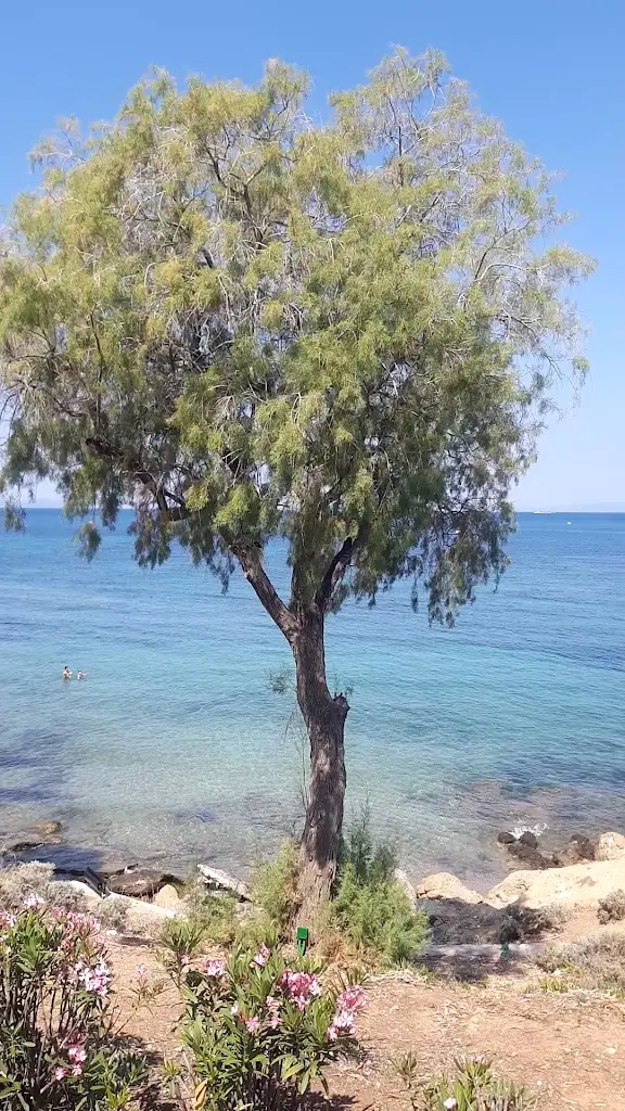 Lasithi Bar-Restaurant_Vouliagméni_slider_image_2