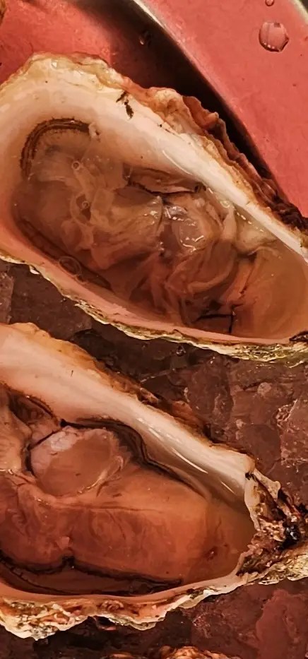 Menu_το Ψαροπούλι_Voúla_image_3