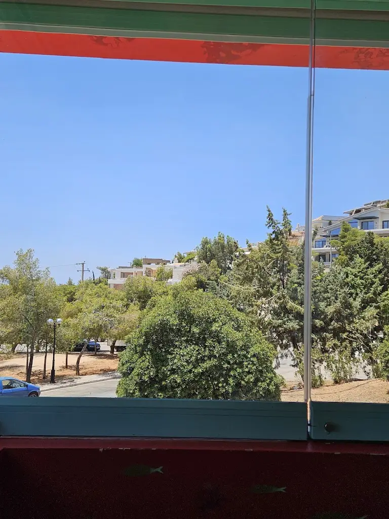 Theofilos SHIN_το Ψαροπούλι_Voúla_avis