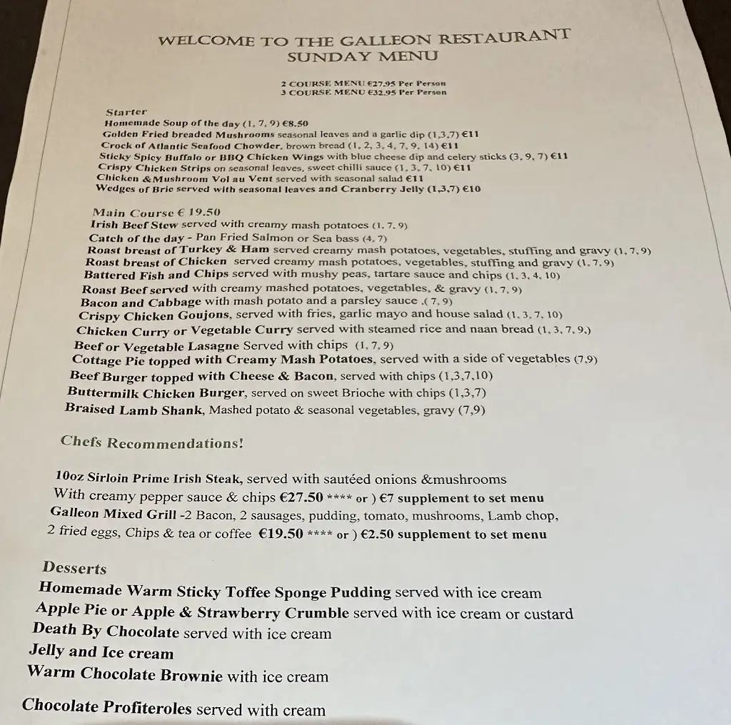 Menu_The Galleon Restaurant_Bearna_image_1