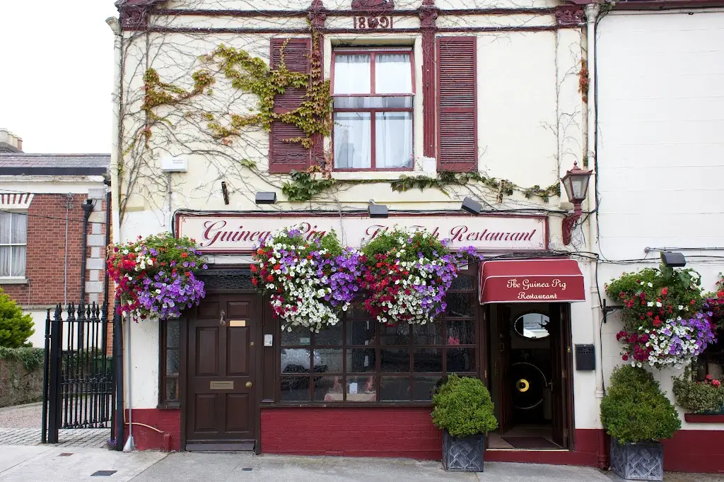 Guinea Pig Restaurant_Dalkey_slider_image_1
