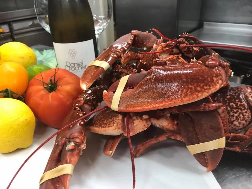 Guinea Pig Restaurant_Dalkey_slider_image_2