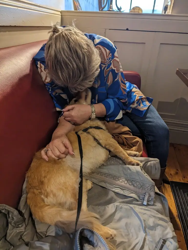 Kristin Wise_The Kings Inn_Dalkey_review