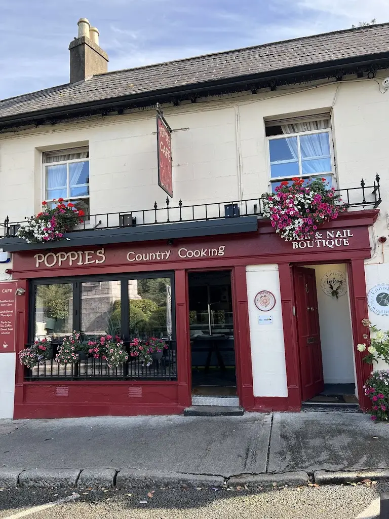 Luz Luna_Poppies_Enniskerry_reseña