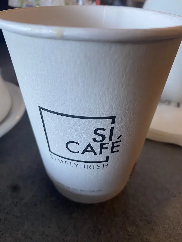 Derek Ellis_The Tower Cafe_Glasnevin_recensione