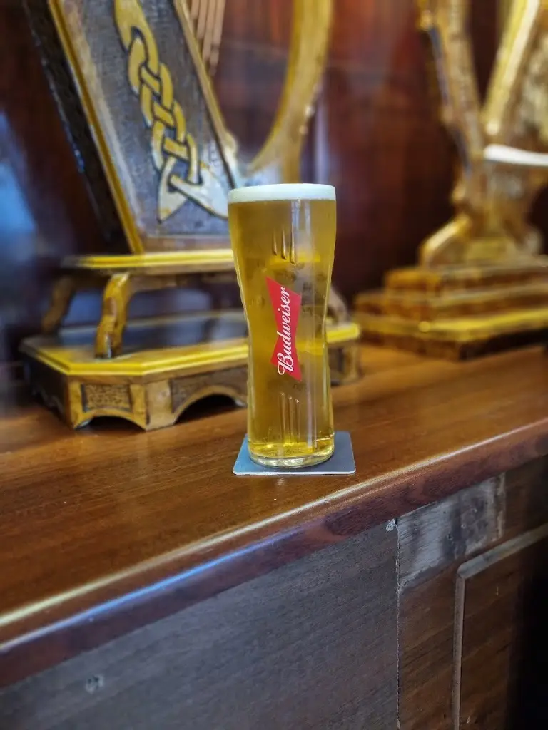 Menu_The Shamrock Lodge_Finglas_imagen_9