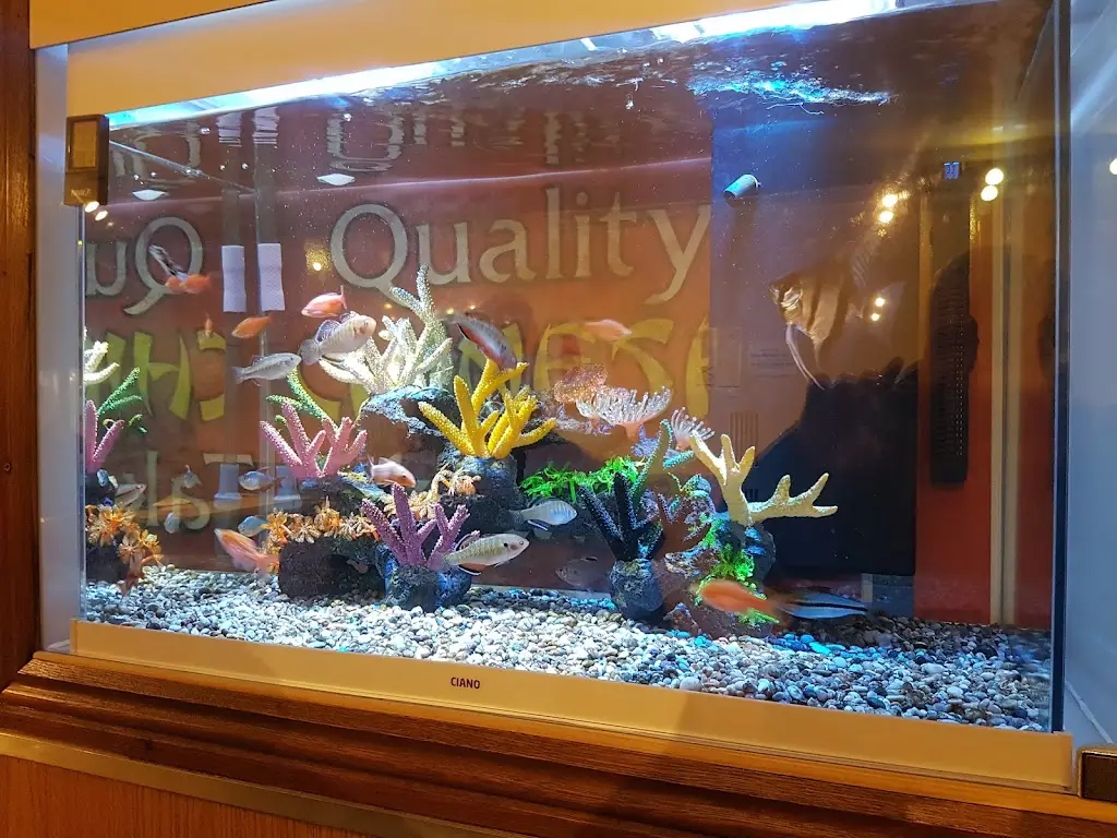 Granard Inn Chinese Restaurant - Take Away ristorante a Granard