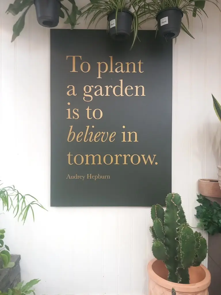 Eleanor Honohan_Avoca Dunboyne_Dunboyne_review