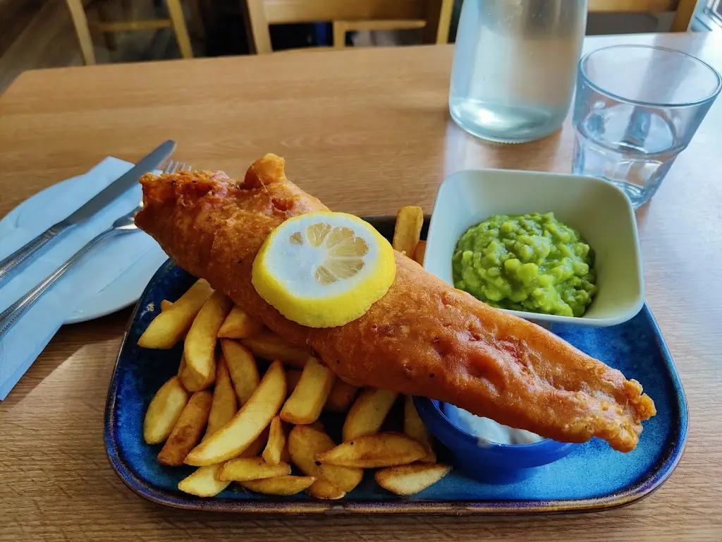 Paula Gross Stecca_Ma Brady's_Dundalk_avis