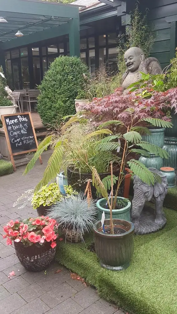 Arvind Pandey_Rachel's Secret Garden_Kilquade_reseña