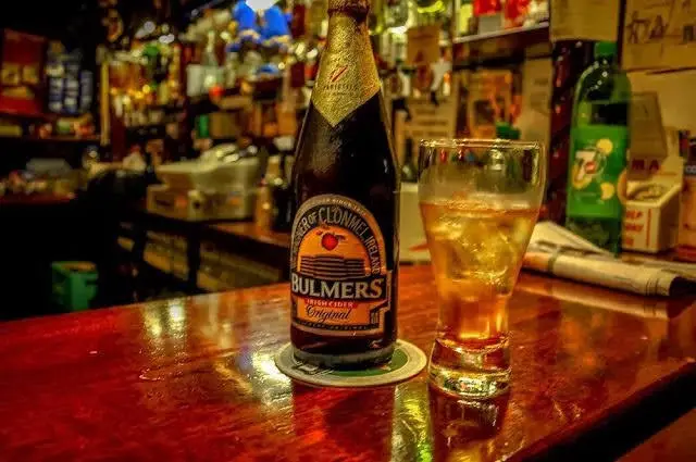 Menu_Spout Bar & Lounge_Kilcullen_image_5