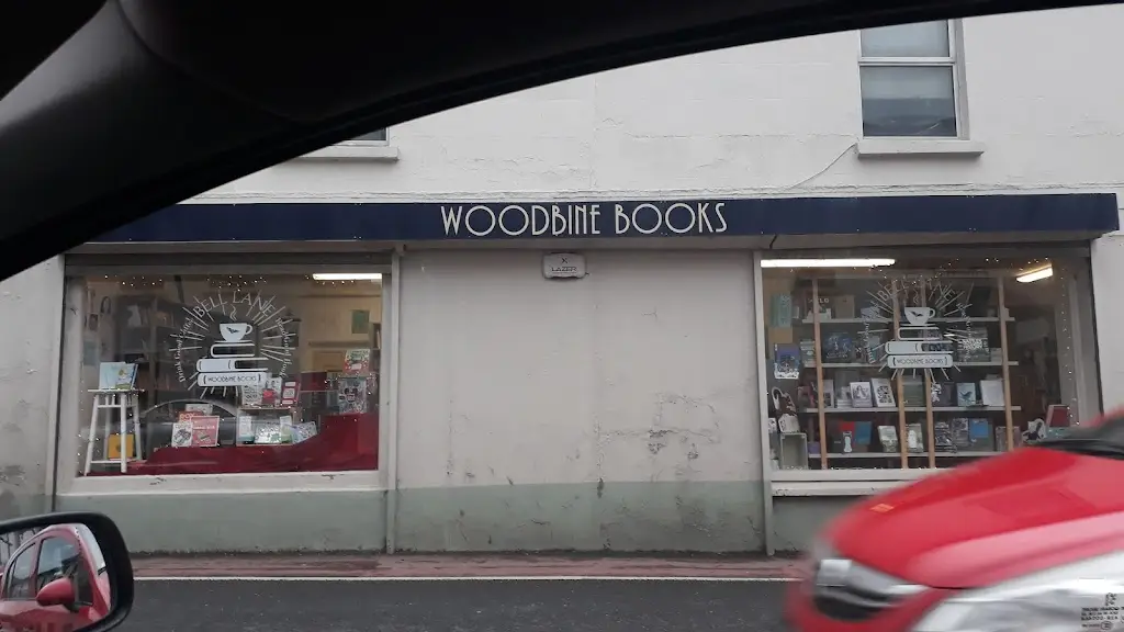 Fountain Take Away restaurant in Kilcullen