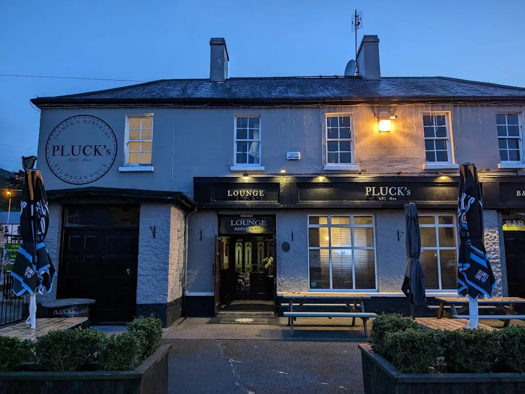 Pluck's Bar_Kilmacanoge_slider_image_3