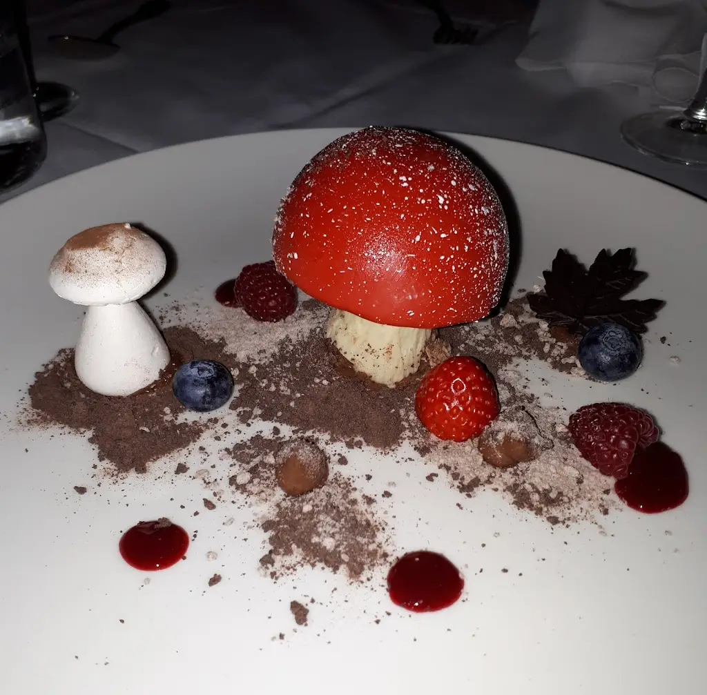 Alison Lewis_The Woodlands Restaurant_Kilmacanoge_review